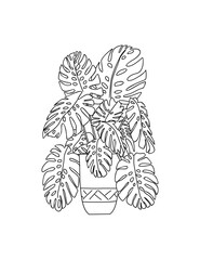 Monstera House plant outline drawing. Indoor exotic flower in pot line art. Monstera Deliciosa plant for home interior plans, design. Vector sketch illustration isolated on transparent background