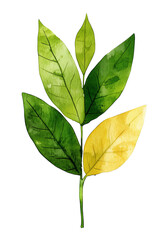 Vibrant illustration of green and yellow leaves, showcasing their intricate details and natural beauty. leaves are arranged artistically