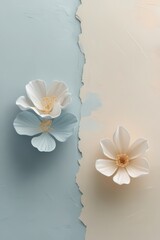 White spring flowers bloom with beauty on aged paper and rustic wood