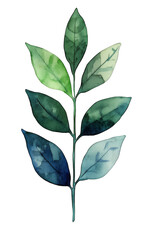 Beautiful watercolor illustration of leafy branch with varying shades of green and blue, showcasing nature elegance and tranquility