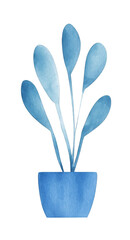 Beautiful watercolor illustration of blue plant in pot, featuring elongated leaves that create serene and calming atmosphere