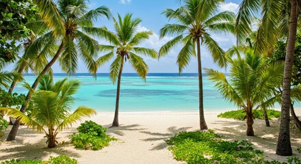 Beautiful Tropical Beach Exotic Island Palm Trees Paradise Seascape Vacation Sand Sea Shore Idyllic