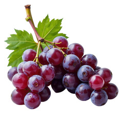 Fototapeta premium Bunch of Purple Grapes on Transparent Background