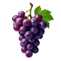 Fototapeta premium Bunch of Purple Grapes on Transparent Background