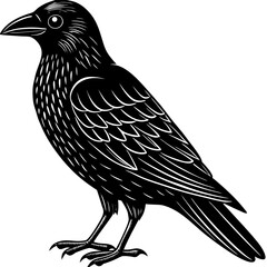 Black and White Illustration of a Raven Bird