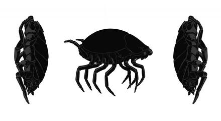 Naklejka premium Minimalist Vector Illustration of Black Tick Silhouette with Detailed Legs on White Background
