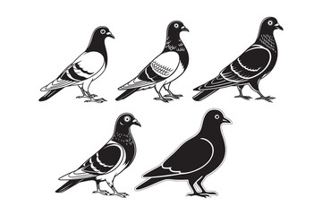 Black and White Illustration of Five Patterned Pigeons in a Row – Hand-Drawn Bird Silhouettes with Unique Feather Markings