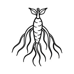 vector illustration of a ginseng branch of a tree