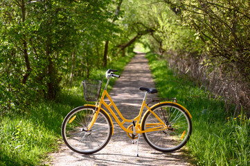 Yellow bicycle in green alley. Perspective. Spring, summer nature Lund Sweden 
