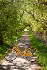 Fototapeta premium Yellow bicycle in green alley. Perspective. Spring, summer nature Lund Sweden 