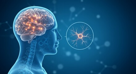 Stylized Translucent Blue Human Profile Displaying Glowing Orange Synapses and Neural Pathways with Detailed Brain Illustration on Blue Network Background
