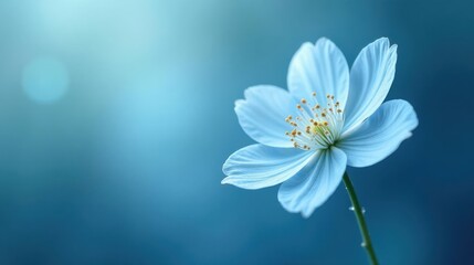 Serene Blue Flower on a Soft Background, a Delicate Image for Tranquil Settings