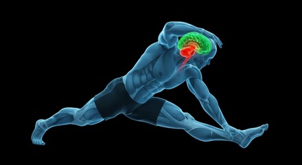 Obraz premium 3D Rendering of a Translucent Blue Male Figure Stretching with Green and Red Brain on Black Background