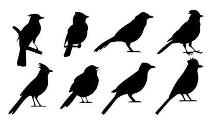 set of blue jay birds silhouette vector on tranparent background