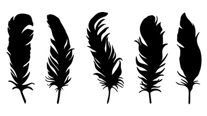 Obraz premium set of feathers silhouette vector on tranparent background