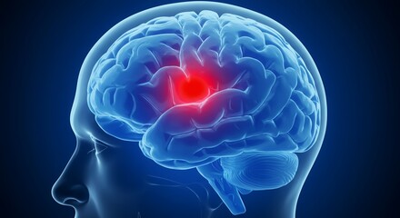 Obraz premium Human Head Silhouette with Brain Illustration Featuring Bright Red Spot on Dark Blue Background