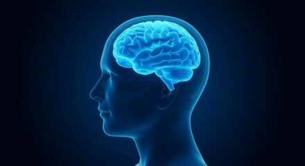Translucent Blue Human Head with Visible Brain Side View Against Dark Blue Background