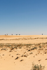 Group of tourists, backpackers walking on a sand dune in the desert. Chara sands