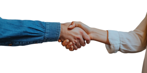 PNG Handshake handshake person collaboration.