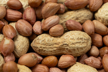 Obraz premium Shelled and Unshelled Peanuts Close-Up