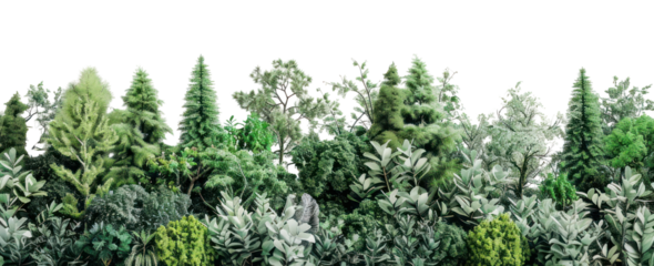 PNG Forest nature green trees.