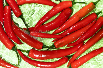 Fresh Red Hot Chili Peppers In Water Top View