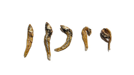 Obraz premium Salted fish (salted anchovies) on white background