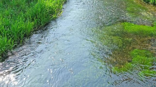 The River Wensum chalk stream flowing through the Norfolk countryside. Left to right panning shot