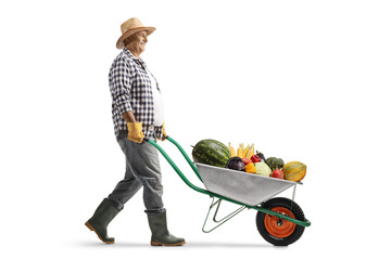 Farmer walking and pushing fruits and vegetables in a wheelbarrow © Ljupco Smokovski
