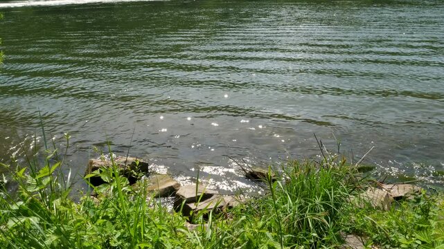 River Mosel, water and riverbank. Winningen, Germany