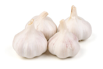 Fresh garlic, isolated on white background.