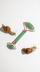 Snails encircle a jade roller, embodying skincare ritual essence, slow beauty philosophy, and World...