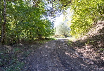 Obraz premium the source of the river in the wild, a walk along the riverbed with an overview of the canyon of the river and the shallow riverbed