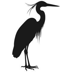 heron silhouette isolated on white