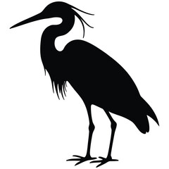 heron on a white background