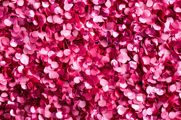 Obraz premium Pink confetti celebration joy festive sparkly