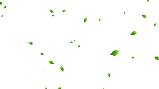 Green leaves flying from left to right, green leaf icons, leaves of trees and plants