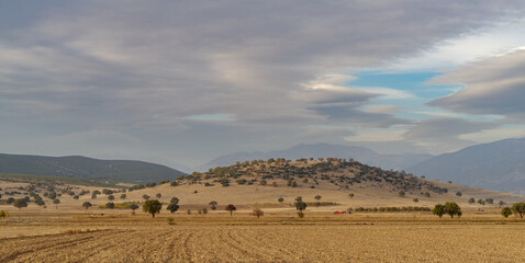 Rural scene,  Aegean region of Turkey