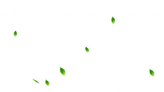 Green leaves falling, leaves of trees and plants, Ecology