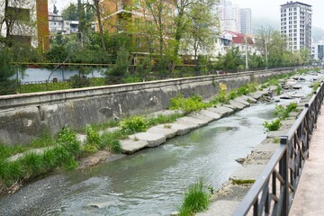 Naklejka premium A Serene Urban Riverbank adorned with lush Vegetation, featuring a charming Walkway along its banks