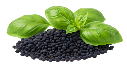 Beluga Lentils with Basil isolated on transparent background