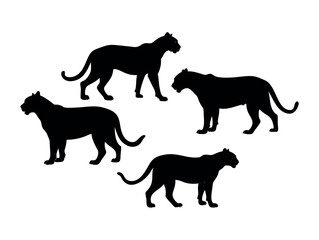 Silhouettes of Panther Family Members in a Group, Black Panther Silhouettes in Different Poses, panther, big cat, cat, jaguar, leopard, cheetah, tiger, graphic design, wild animal, illustration, vecto