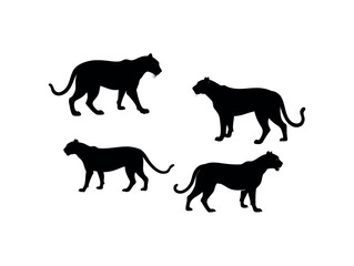 Silhouettes of Panther Family Members in a Group, Black Panther Silhouettes in Different Poses, panther, big cat, cat, jaguar, leopard, cheetah, tiger, graphic design, wild animal, illustration, vecto