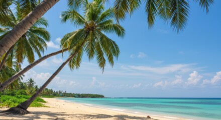 Fototapeta premium Tropical beach scene with palm trees white sand and turquoise water under a clear blue sky day