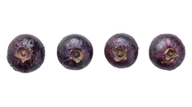 Four ripe jabuticaba fruits aligned showcasing their waxy skin and the woody stem area, displaying freshness and detail on a transparent background, PNG image, PNG file.