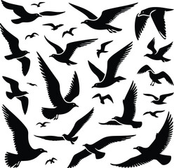 Set of seagull silhouette vectors