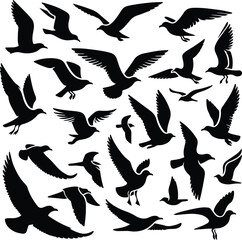 Set of seagull silhouette vectors