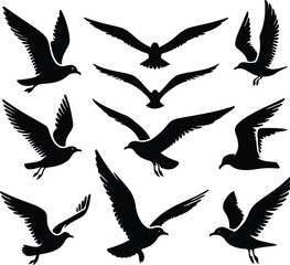 Set of seagull silhouette vectors