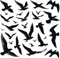 Set of seagull silhouette vectors