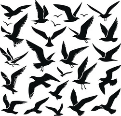 Set of seagull silhouette vectors